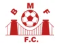 Stade Brestois logo