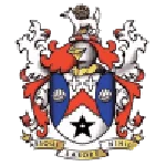 Nady Stalybrydj Syltyk logo