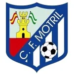 Mwtryl logo