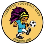 Fwrystyrs logo