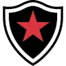 Botafogo-pb logo