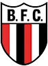 Botafogo/sp Youth logo