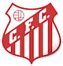 Capivariano/sp Youth logo