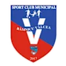 شعار CSM Ramnicu-Valcea