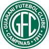 Guarani/sp Youth logo