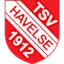 Hafylsa logo