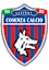 Kwsynza logo