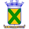 Santo André/sp Youth logo