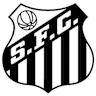 Santos/sp Youth logo
