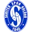 Saryr logo