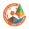 Sc Arad logo