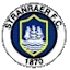 Strarayr logo