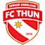 Twn logo