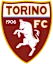 Twrynw Tht 19 logo